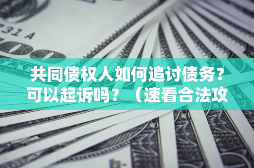 北京共同债权人如何追讨债务？可以起诉吗？（速看合法攻略）